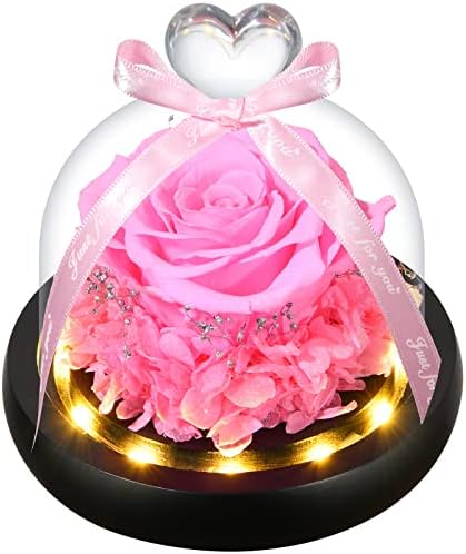 Dearccino נשמר ורד סגול בכיפת זכוכית | מתנות פרחים שמורים לנשים | מתנת יום הולדת לאמא | אשה | חברה |